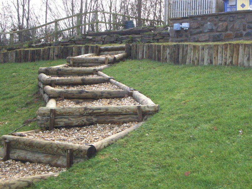 Rustic woodland steps.