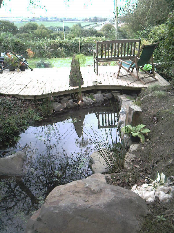 Decking over pond.